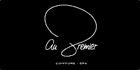 Au Premier Coiffure Spa - Logo