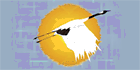 logo Approach Cranial Sacral & Massage Therapy Clinic